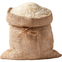 صفحه اصلی 1 Untitled design